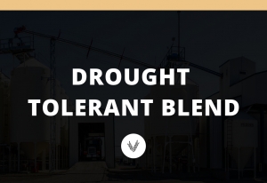 Drought Tolerant Blend