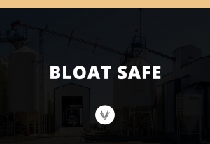 Bloat Safe
