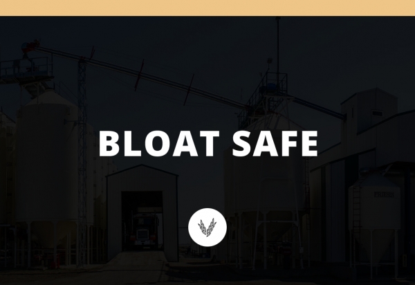 Bloat Safe