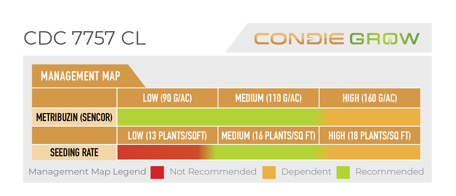 Condie Genetics | Innovative Seed Varieties for Canadian Growers